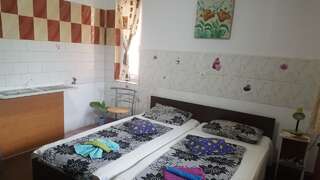 Проживание в семье Casa Marvik Орадя Двухместный номер с 1 кроватью или 2 отдельными кроватями и собственной ванной комнатой-1