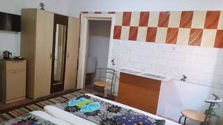 Проживание в семье Casa Marvik Орадя Двухместный номер с 1 кроватью или 2 отдельными кроватями и собственной ванной комнатой-5